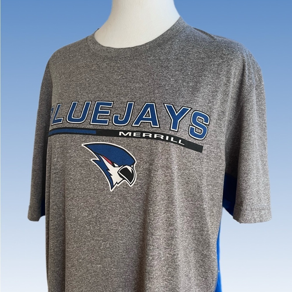 Blue and Gray Men's Tee size L - Picture 2 of 6